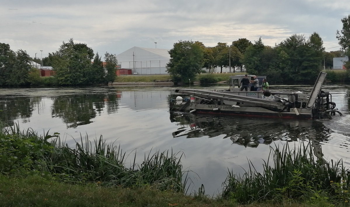 Faucardage sur le plan d'eau de Noron