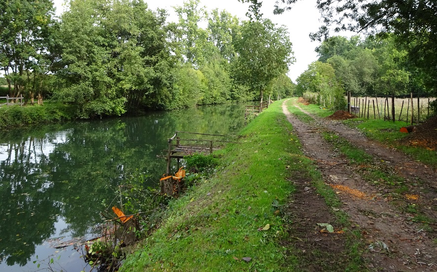 Elagage et recépage d’arbres entre Magné et Coulon