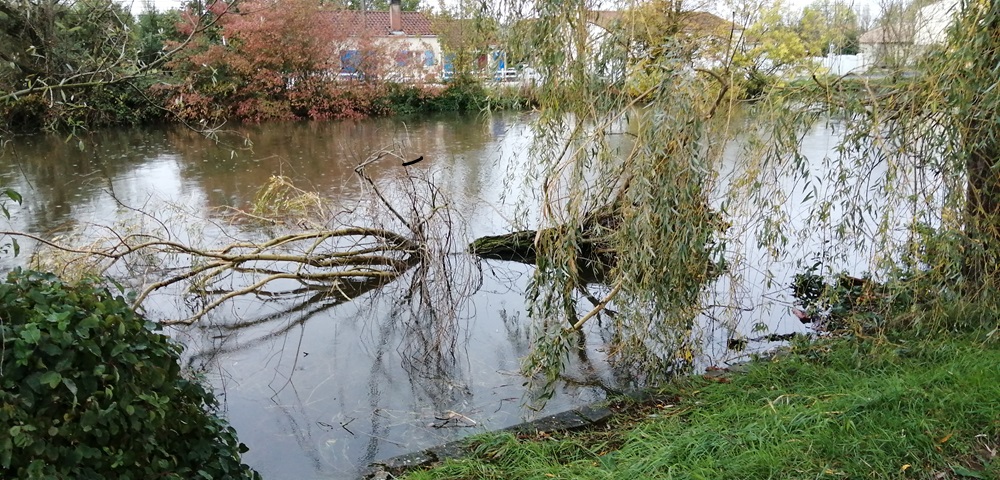 Crue et Tempête Domingos