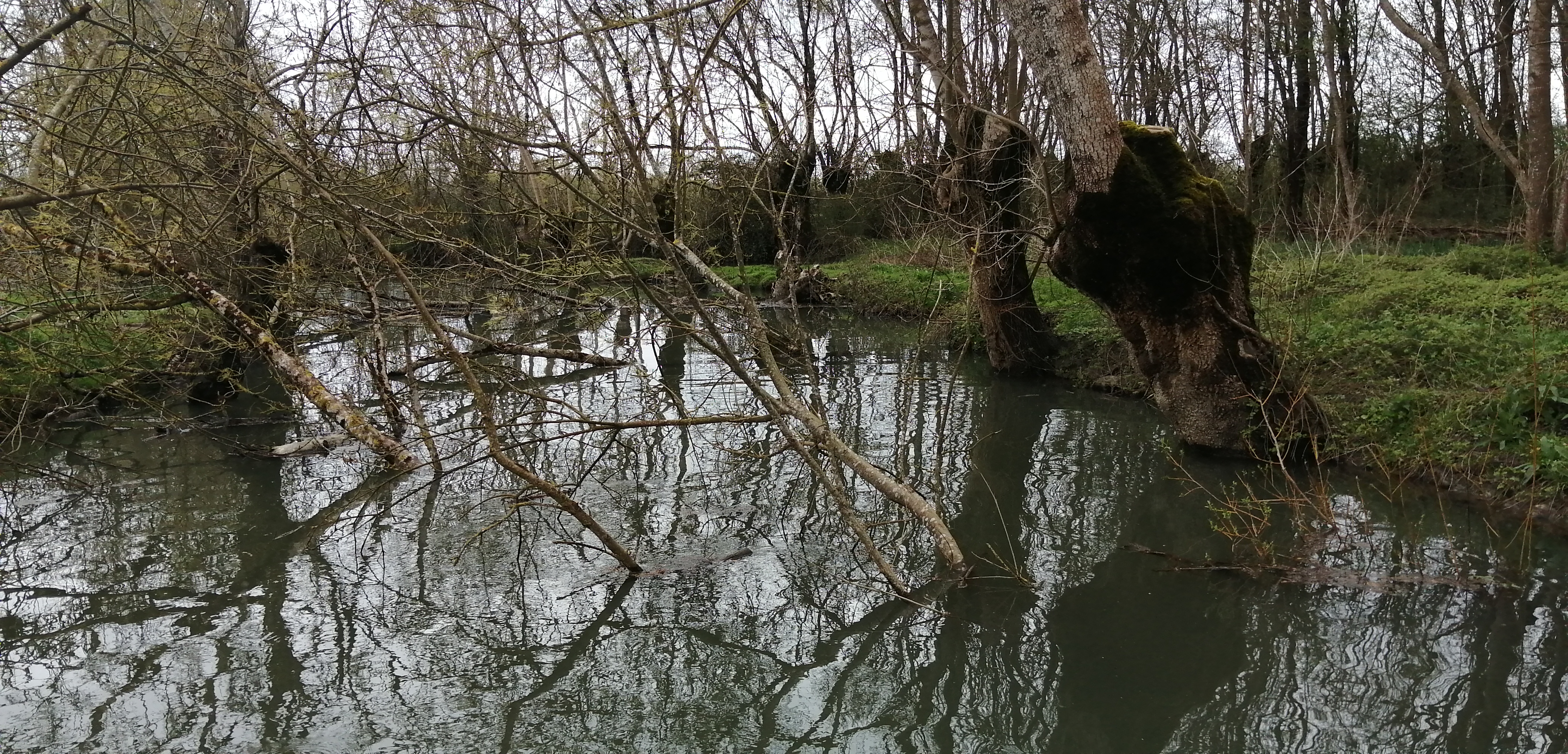 La saison d'élagage se termine sur le Domaine Public Fluvial