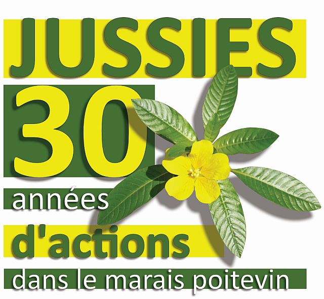 Communication sur la gestion des Jussies de 1994 à 2024