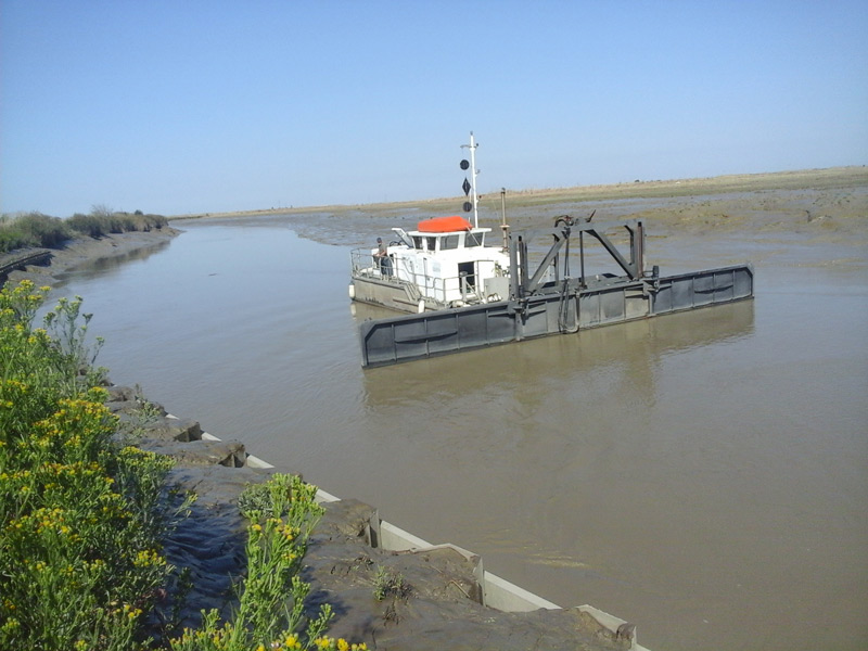 Bacage de la sèvre maritime