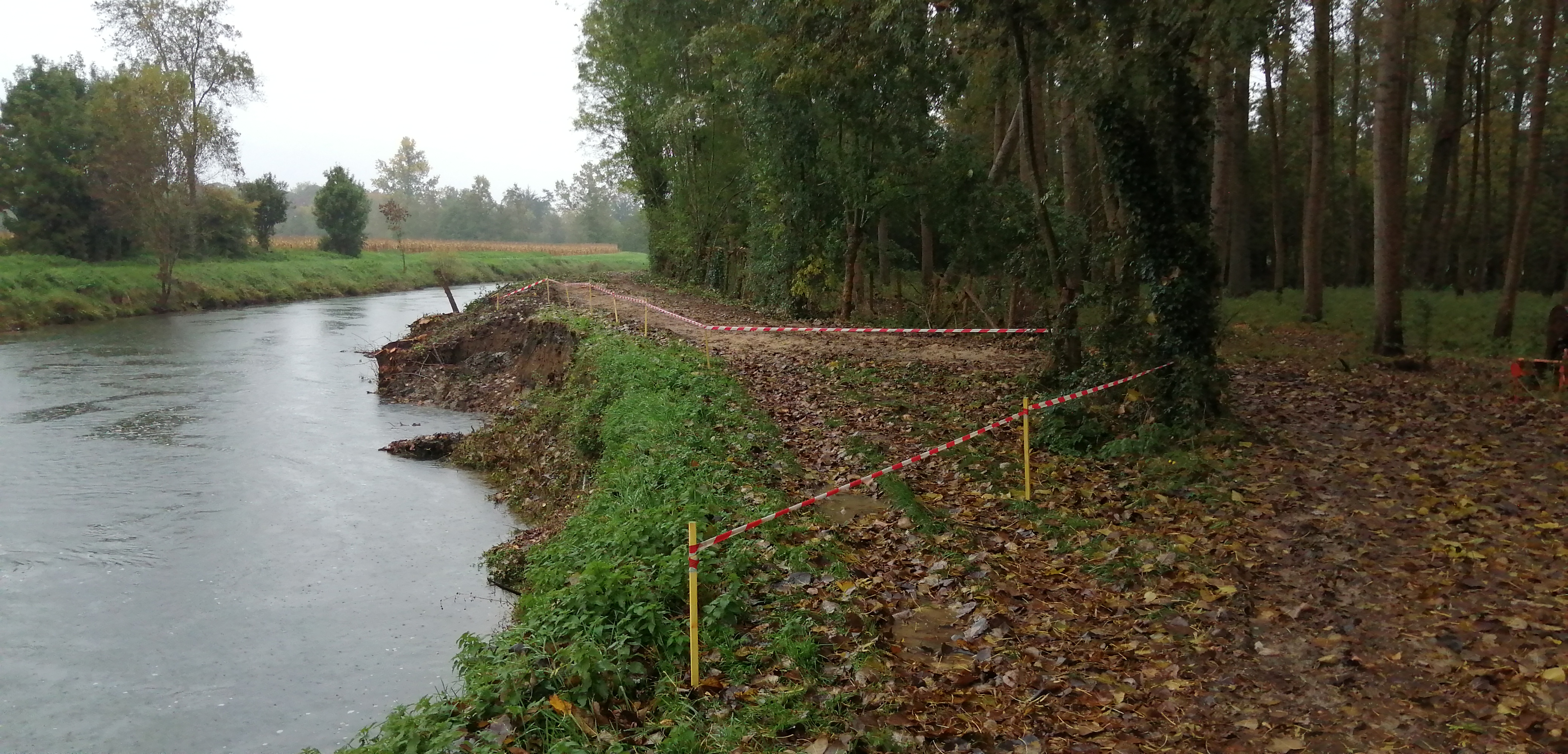 Travaux de restauration des berges sur la S&egrave;vre niortaise entre Magn&eacute; et Coulon