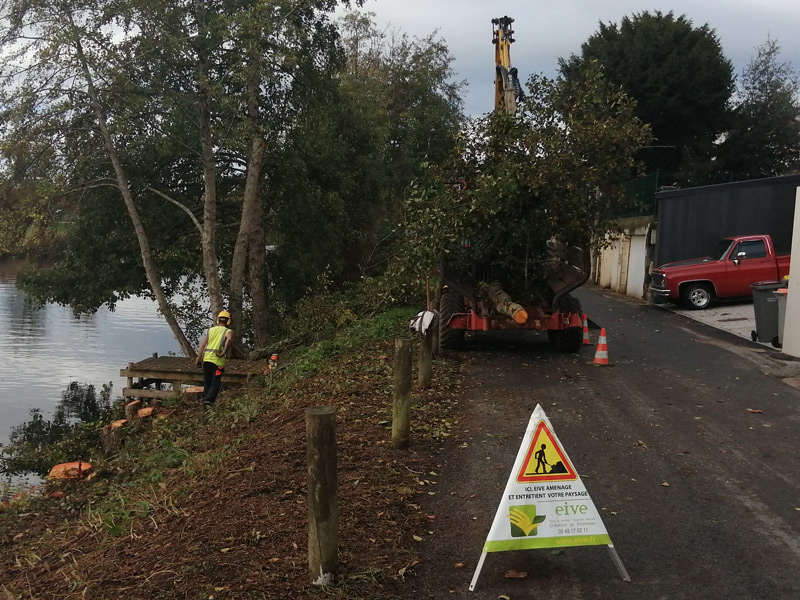 Travaux d'élagage sur la Sèvre à NIORT