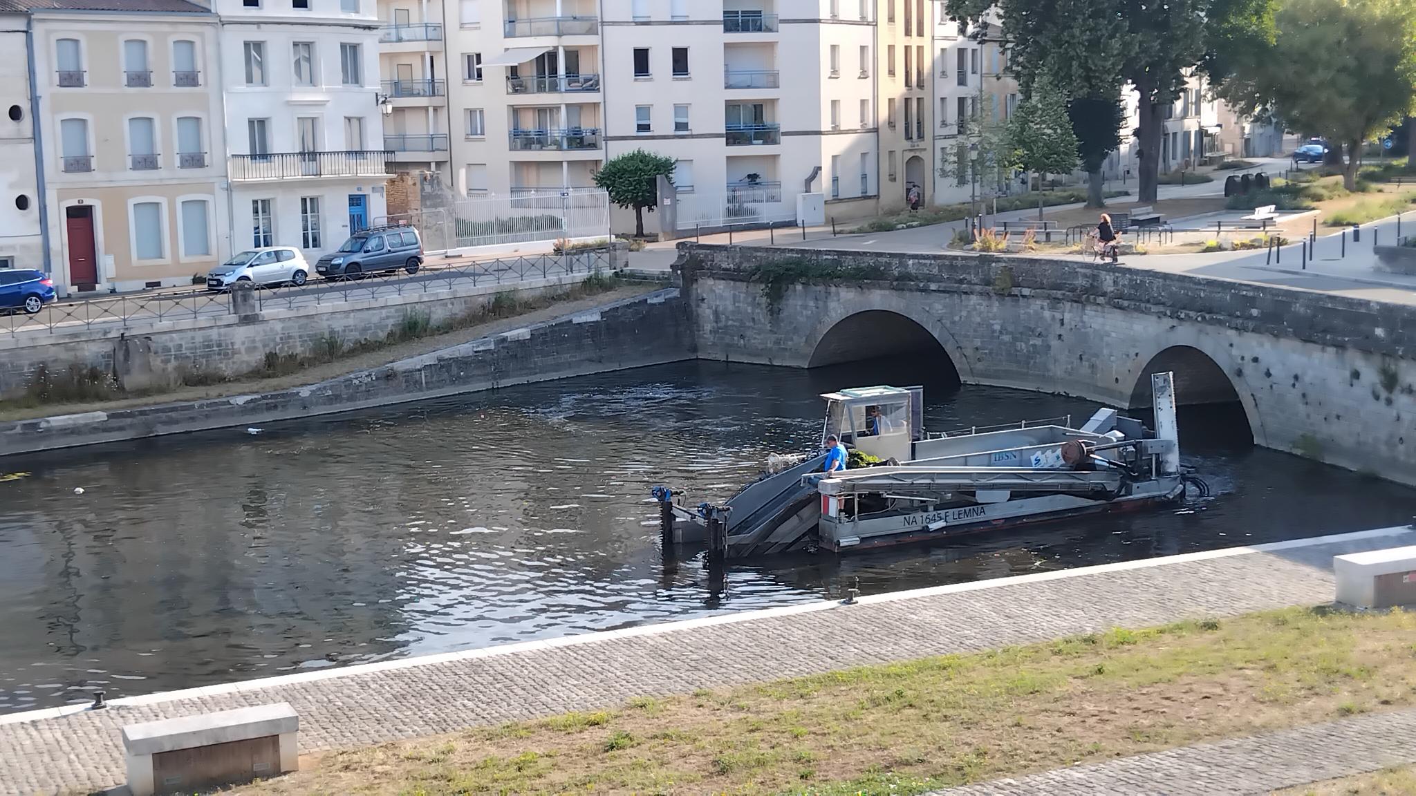 Intervention de l'IIBSN sur les v&eacute;g&eacute;taux aquatiques du port de Niort