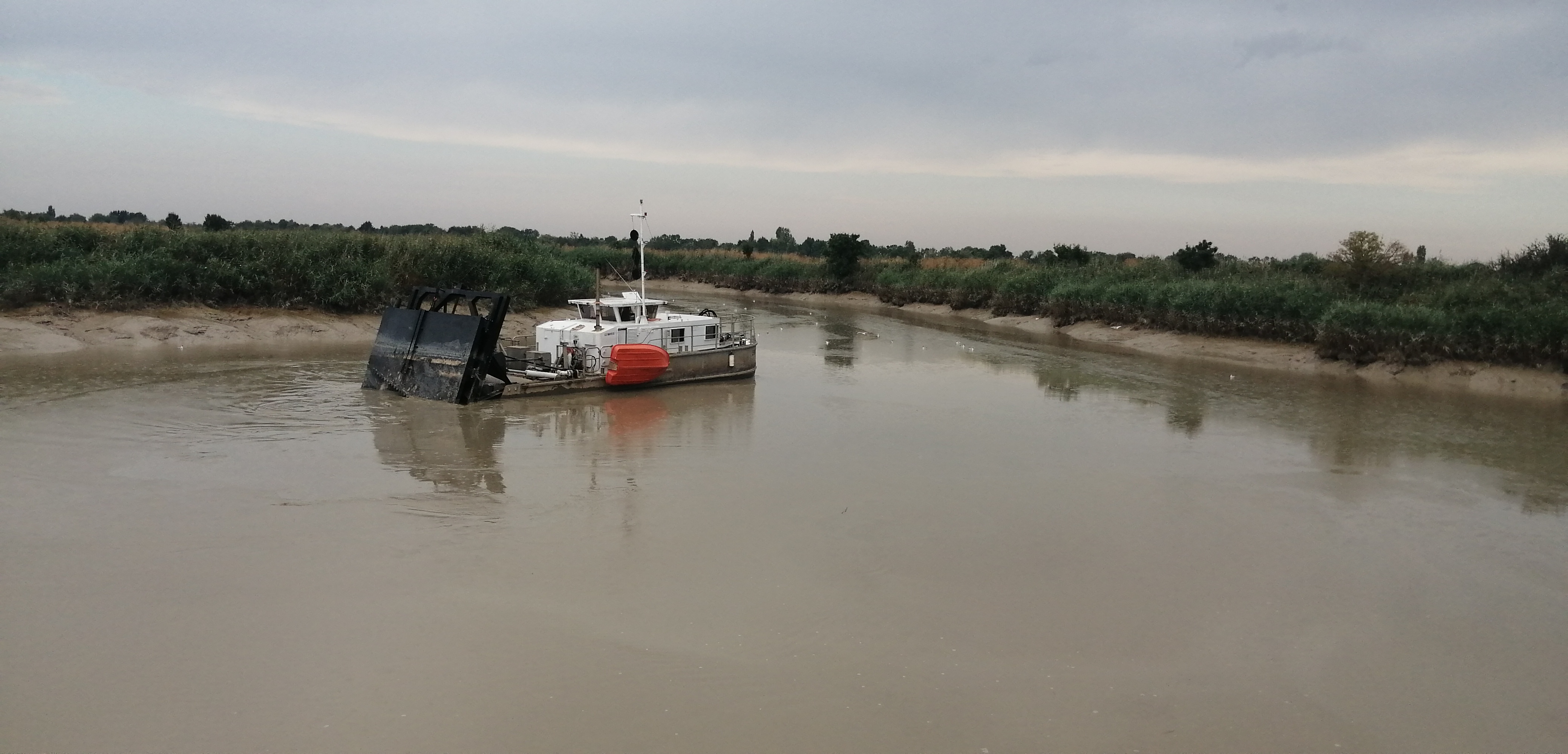 bacage de la S&egrave;vre maritime