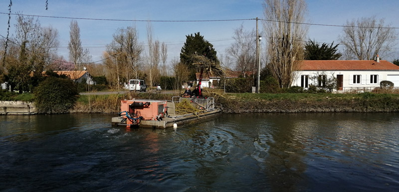 Travaux d’élagage et de désencombrement