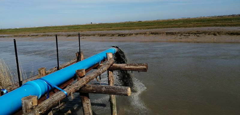 Point de rejet des vases dans la sèvre maritime