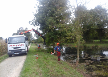 Intervention sur la végétation des berges