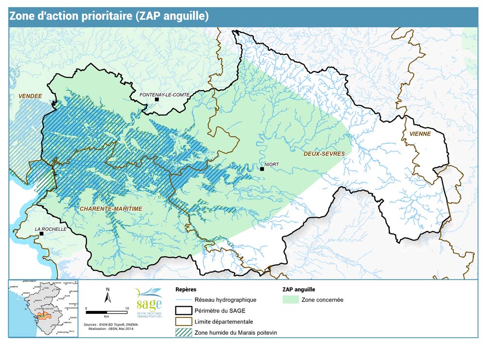 Zone d'action prioritaire (ZAP anguille)