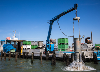 Production de moules et qualité des eaux