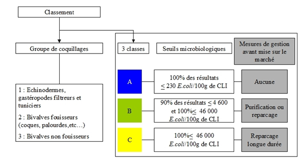 Classement sanitaire