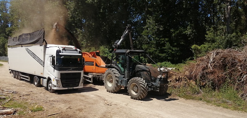 Broyage des bois issus des chantiers d'élagage