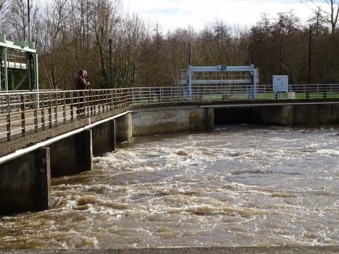 Sèvre Niortaise en crue