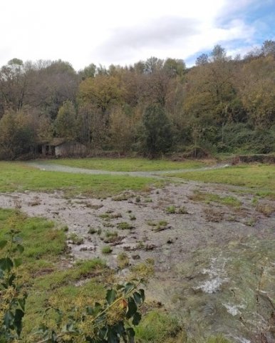 La Sèvre niortaise en crue depuis le 10 décembre