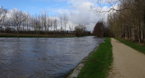 La Sèvre Niortaise et l'Autise en crue - Janvier 2024