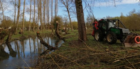 Elagages et désencombrements suite aux tempêtes et crues de lhiver