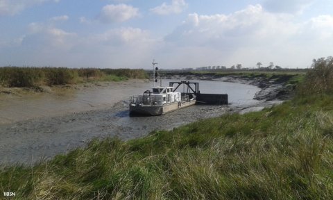 Bacage sur la Sèvre niortaise