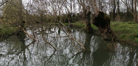 La saison d'élagage se termine sur le Domaine Public Fluvial