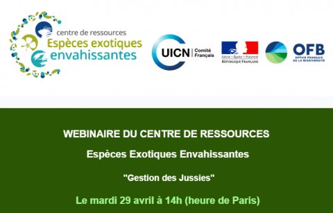 Webinaire "Gestion des Jussies"