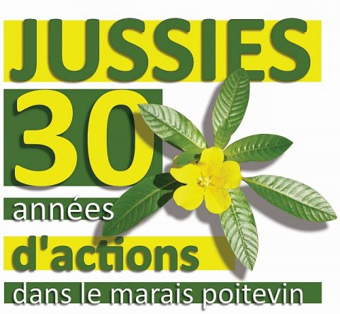 Communication sur la gestion des Jussies de 1994 à 2024