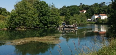 Régulation des végétaux aquatiques