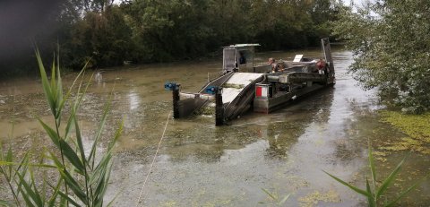 Régulation des végétaux aquatiques