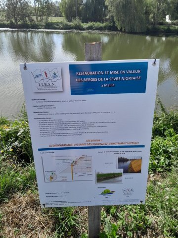 Travaux de berge sur la Sèvre Niortaise à Maillé (85)