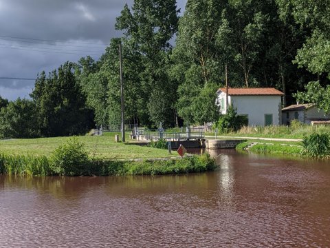 Des nouvelles de la coloration de la Sèvre niortaise