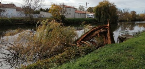 Désencombrement après la tempête Benjamin