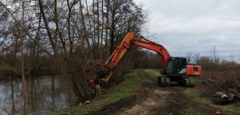 Elagage pour pr&eacute;server la berge et la voie pi&eacute;tonne/cyclable &agrave; NIORT 