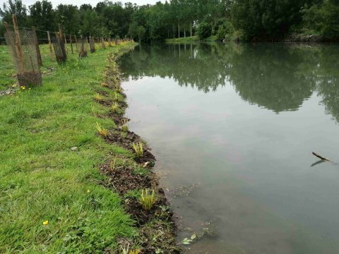 Plantations sur un tron&ccedil;on de la Rivi&egrave;re Vieille Autize