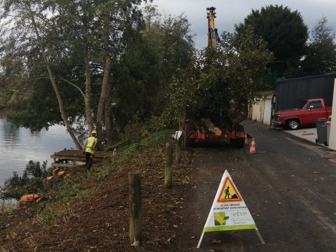 Travaux d'élagage sur la Sèvre à NIORT