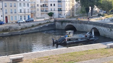Intervention de l'IIBSN sur les v&eacute;g&eacute;taux aquatiques du port de Niort