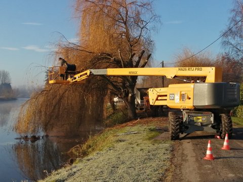 Intervention sur des saules en bords de Sèvre