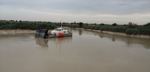 bacage de la S&egrave;vre maritime