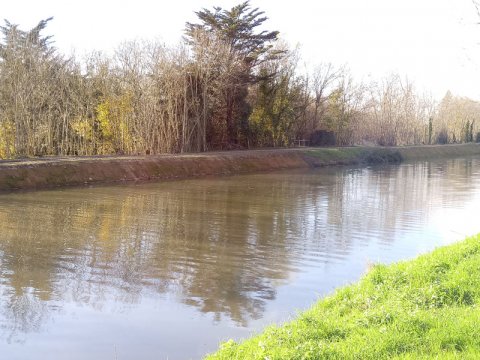 Restauration et renaturation des berges du canal du Mignon sur la commune de La Ronde (17)