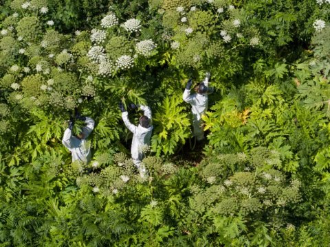 Intervention de l'IIBSN dans le cadre des journ&eacute;es Esp&egrave;ces Exotiques Envahissantes du bassin Loire-Bretagne