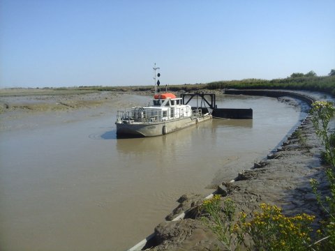 Bacage de la Sèvre maritime