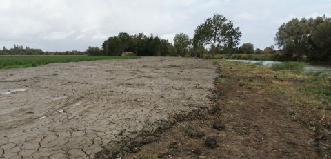 Vase déposée sur parcelle après curage du contour de Pomère