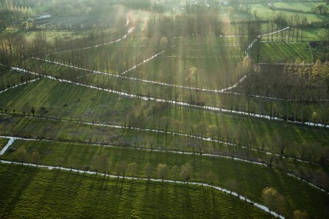 Paysage de marais