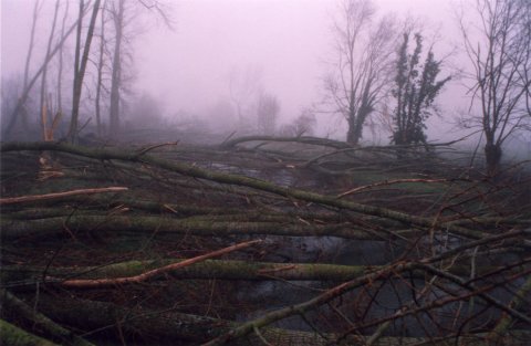 Dégâts de la tempête 1999, canal du Mignon