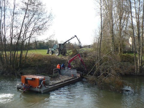 Retrait dune cépée dAulne dans la Sèvre niortaise à Damvix