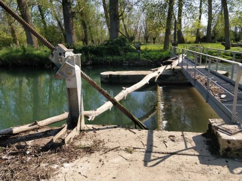 Arbre sur le barrage de la Guignaudière