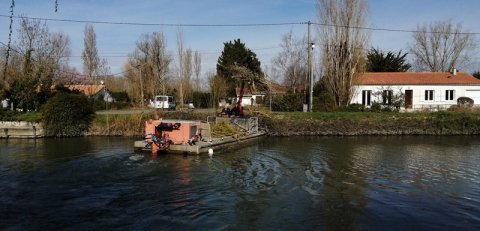 Travaux délagage et de désencombrement