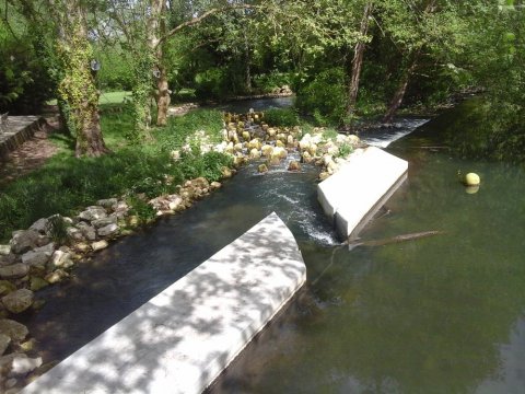 Passage à poissons à La Roussille