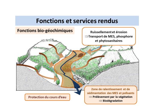 Filtre pour lépuration des eaux