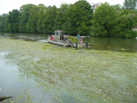 Bateau moissonneur de lIIBSN