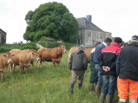 Le Groupe dacteurs de la commune de Nanteuil (79) prend connaissance des critères de délimitation des zones humides.