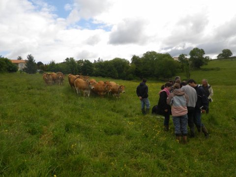 Sortie pédologique avec luniversité de Poitiers sur la commune de Saint Pardoux (79)